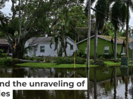 In fall 2024, Tampa and other Florida cities on the Gulf coast were hit by hurricanes Helene and Milton within 13 days of each other. Giorgio Viera/AFP via Getty Images